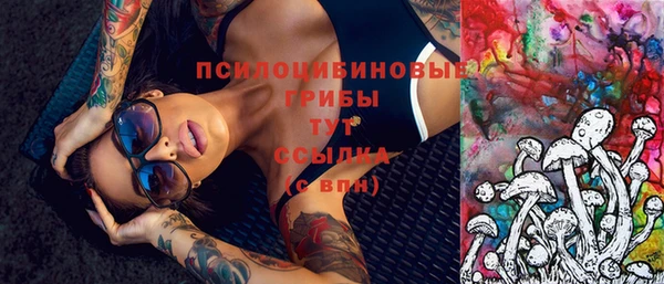 сатива Алексеевка