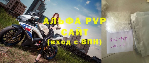 гидра Абаза