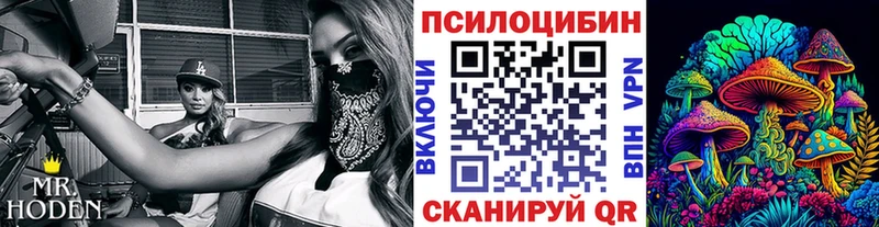 ссылка на мегу как зайти  сайты даркнета телеграм  Галлюциногенные грибы Magic Shrooms  Тайга 