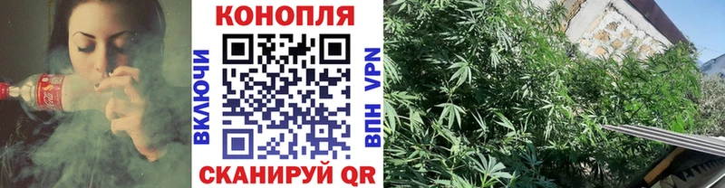 Канабис тримм  сколько стоит  Тайга 